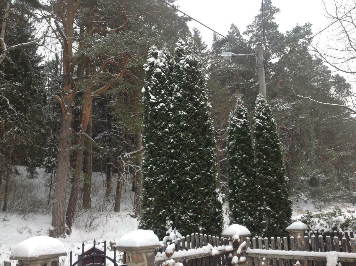 Noclegi Pod Borkiem Szypliszki Exterior foto